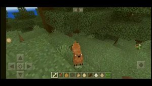 Манкрафт пе мод на Домашних животных/Animals 1.14x-1.16x  #моды #звери #animals #животные #моды