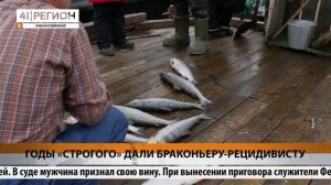 ГОДЫ «СТРОГОГО» ДАЛИ БРАКОНЬЕРУ-РЕЦИДИВИСТУ • НОВОСТИ КАМЧАТКИ