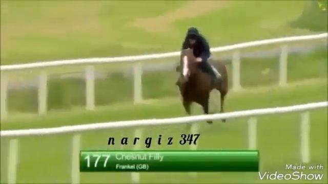 Самая быстрая лошадь ! смотреть онлайн