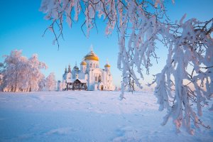 Осипов А.И. Молчанием загради уста клевещущих на тебя.