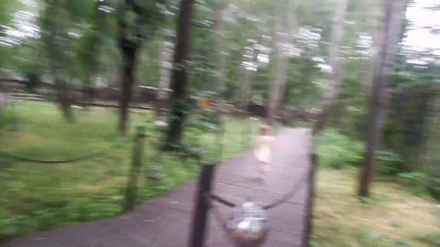 В гостях удинозавров. ОЧЕНЬ СТРАШНО. Сормовский парк Нижнего Новгорода. смотреть онлайн