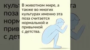 Ислам тв