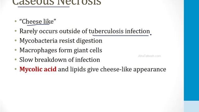 Патология USMLE - 1. Общие темы - 5.Некроз