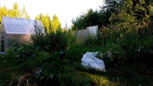 ЕВАНГЕЛИЕ от МАТФЕЯ.глава-9,10,11.