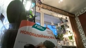 Монофосфат калия для орхидей
