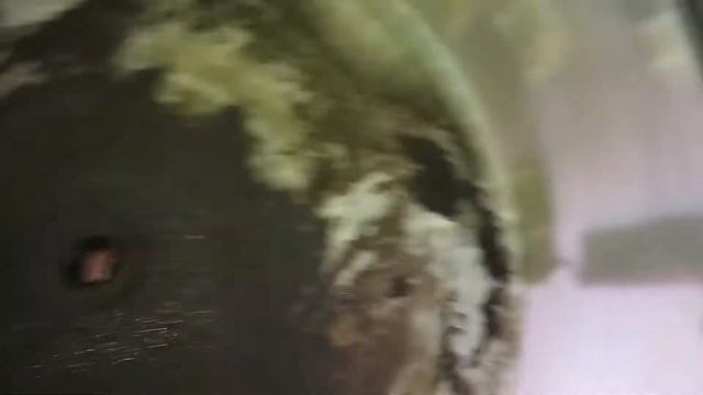 ремонт стиральной машинки Samsung Diamond смотреть онлайн