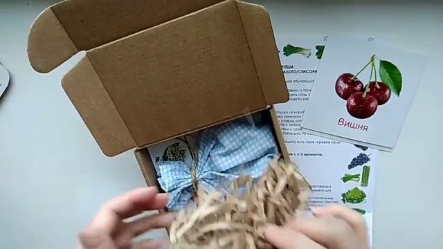 Чем занять ребенка? Сенсорное лото смотреть онлайн