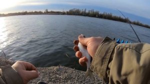 Аксайские плиты))) Хороший день в компании друзей!!!!