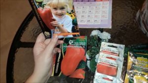 Семена крупного перца  на 2020г. Лучшие сорта перца сладкого. Посадка сладкого перца.