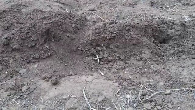 купил щебень сделал разметку для опалубки