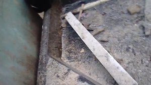 Ловушка для крыс, мышей, хорьков