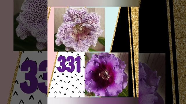 Новые Опыления, Семена Глоксинии и Тидеи, Весна 2022 смотреть онлайн