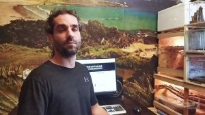 Почему не удаётся избавиться от клопов и тараканов? 5 основных причин