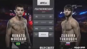 Бой зубайра тухугов vs ренато макаино