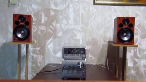 SONY SS-CGPZ7 (2)