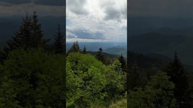 Richland Balsam - Blue Ridge Parkway, Jackson County NC