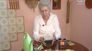 Как правильно сажать капусту. Голова садовая