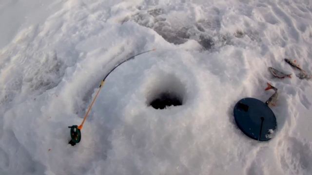 Попал на выход краснопёрки. смотреть онлайн