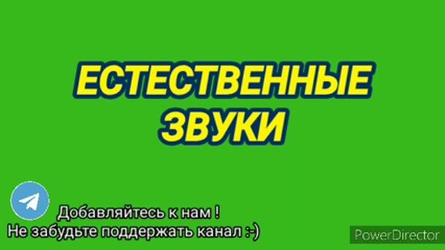 Ответ шумным соседям естественными звуками