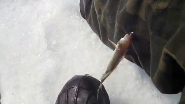 Самый дешовый эхолот FISH FINDER зимние испытания. смотреть онлайн