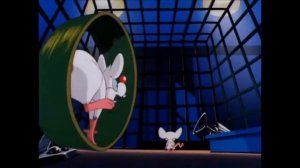 Вступление "Пинки и Брейн" на разных скоростях