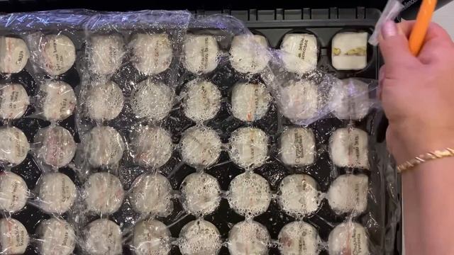 Начинаем сажать томаты смотреть онлайн