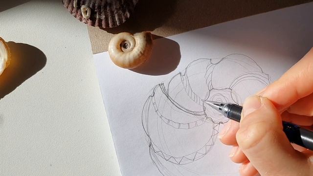 Бесплатный урок "Ракушка" смотреть онлайн