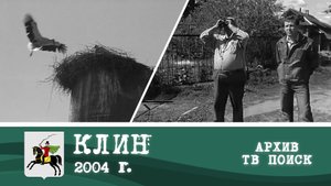 Аисты в Аксеново 03.06.2004