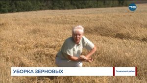 Уборка зерновых