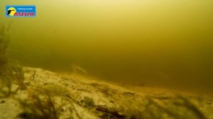 Балансир AQUA Classic 3D