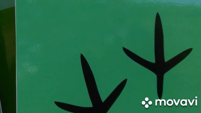 Угадай животное по следам смотреть онлайн