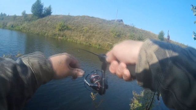 Рыбалка на домашнем водоеме с Fario nt morm смотреть онлайн