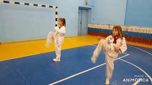 готовимся к аттестации на белые пояса #taekwondo #тхэквондо