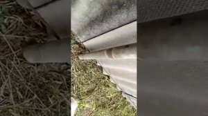 Забор из шифера эконом-вариант всем-всем-всем