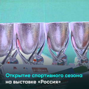 Открытие спортивного сезона на выставке «Россия»