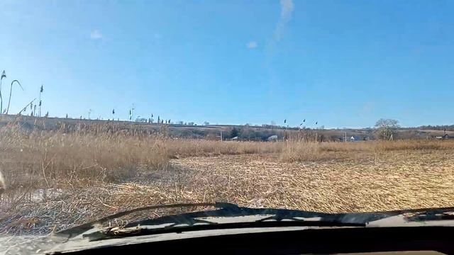 Как избавиться от Камыша, Тростника :-)) смотреть онлайн