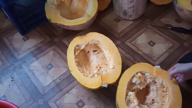 Гарбуз Розовий банан,Мозоліївський,Стофунтовка.Висновки. смотреть онлайн