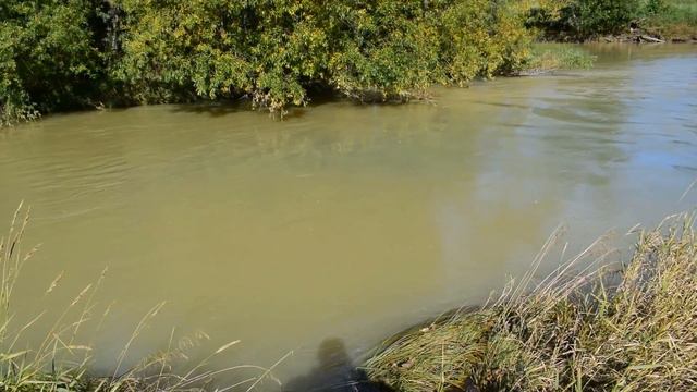 Шегультан 2019 год смотреть онлайн