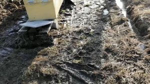 Распутица на пасеке Владимирских ульев