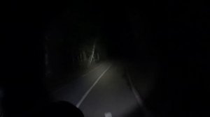 Битцевский лес ночью на велосипеде по велодорожке