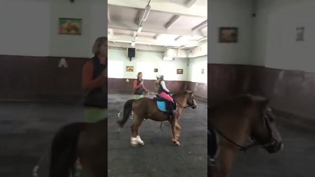 Уроки верховой езды. Галоп на шотландском пони смотреть онлайн
