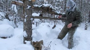 Зимний промысел соболя. Встреча на путике с лесорубами.