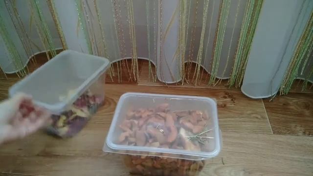 ЧТО НУЖНО ДЛЯ ШИНШИЛЛЫ? | MagicLife - Pets смотреть онлайн