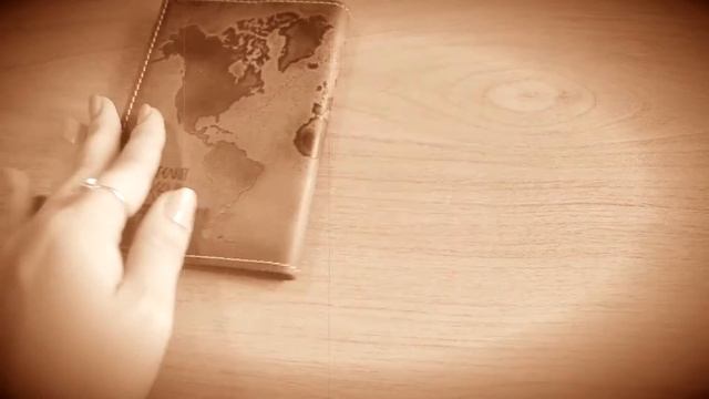 Кожаная обложка на паспорт "Гражданин мира" смотреть онлайн