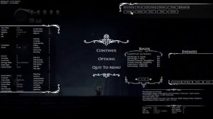 hollowknight-debug-mode-test