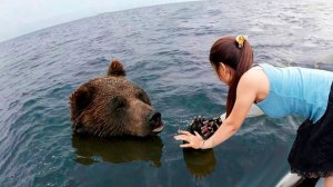 Случаи, Когда Животные Попросили Людей о Помощи