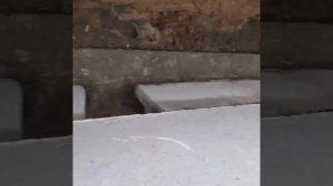 Фундамент из ФБС блоков за день