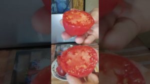 Томат Адонис из Риги на разрезе и на вкус