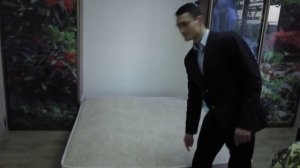 Шкаф-купе с подъемной кроватью