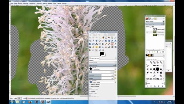 GIMP pamoka. Paprastas būdas iškirpti sudėtingą objektą iš margo fono. смотреть онлайн